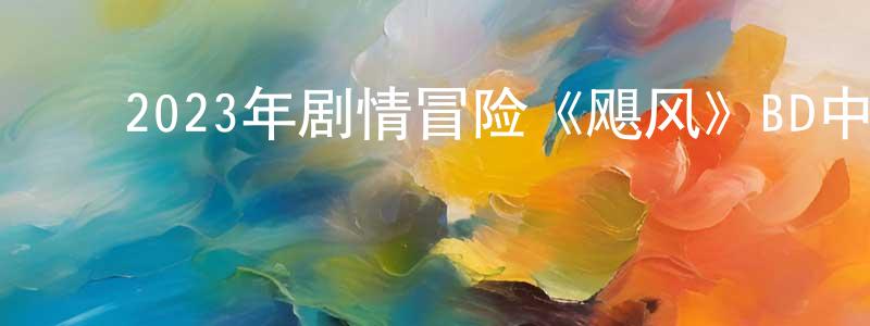 ﻿陈芳萍发布﻿2023年剧情冒险《飓风》BD中英双字迅雷下载_电影天堂